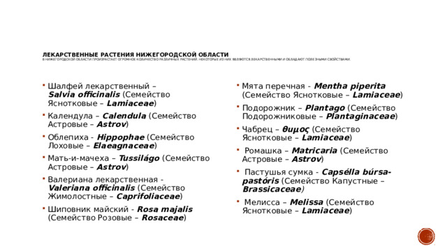 Лекарственные растения Нижегородской области В Нижегородской области произрастает огромное количество различных растений. Некоторые из них являются лекарственными и обладают полезными свойствами. Шалфей лекарственный – Salvia officinalis (Семейство Яснотковые – Lamiaceae ) Календула – Calendula (Семейство Астровые – Astrov ) Облепиха - Hippophae (Семейство Лоховые – Elaeagnaceae ) Мать-и-мачеха – Tussilágo (Семейство Астровые – Astrov ) Валериана лекарственная - Valeriana officinalis (Семейство Жимолостные – Caprifoliaceae ) Шиповник майский - Rosa majalis (Семейство Розовые – Rosaceae ) Мята перечная - Mentha piperita (Семейство Яснотковые – Lamiaceae ) Подорожник – Plantago (Семейство Подорожниковые – Plantaginaceae ) Чабрец – θuμος (Семейство Яснотковые – Lamiaceae ) Ромашка – Matricaria (Семейство Астровые – Astrov ) Пастушья сумка - Capsélla búrsa-pastóris (Семейство Капустные – Brassicaceae ) Мелисса – Melissa (Семейство Яснотковые – Lamiaceae ) 