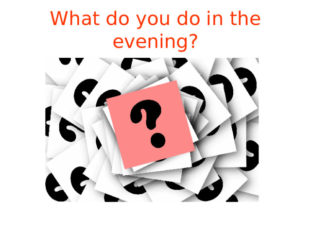 What do you do in the evening? 