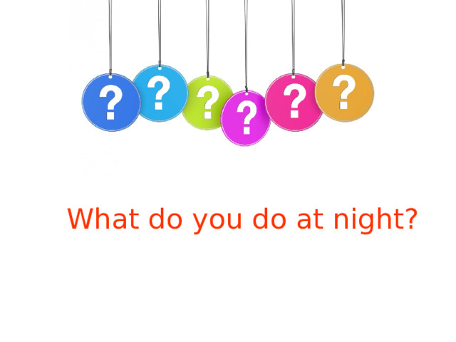 What do you do at night? 