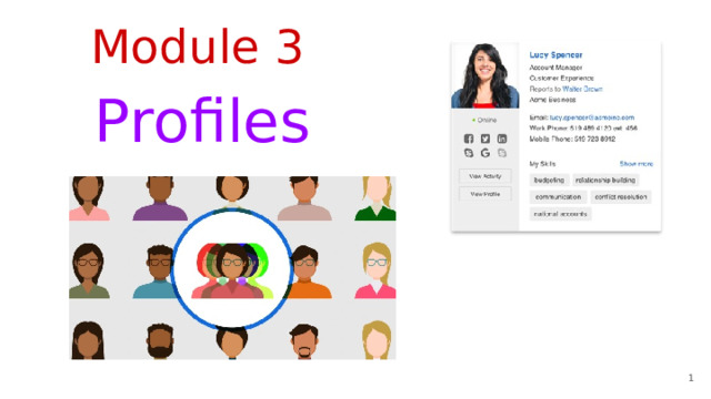 Module 3 Profiles 