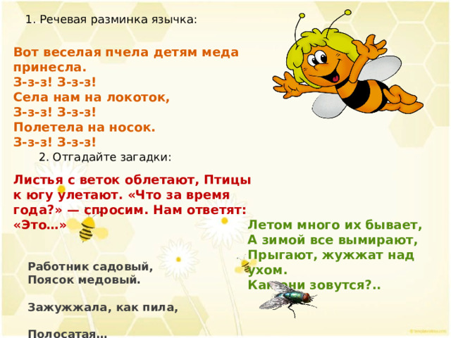 1. Речевая разминка язычка: Вот веселая пчела детям меда принесла.  З-з-з! З-з-з!  Села нам на локоток,  З-з-з! З-з-з!  Полетела на носок.  З-з-з! З-з-з! 2. Отгадайте загадки: Листья с веток облетают, Птицы к югу улетают. «Что за время года?» — спросим. Нам ответят: «Это…» Летом много их бывает,  А зимой все вымирают,  Прыгают, жужжат над ухом.  Как они зовутся?..  Работник садовый, Поясок медовый. Зажужжала, как пила, Полосатая… 