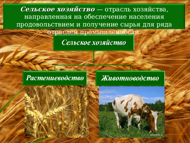 Сельское хозяйство — отрасль хозяйства, направленная на обеспечение населения продовольствием и получение сырья для ряда отраслей промышленности. 