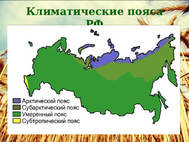 Климатические пояса РФ 