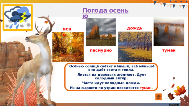 Погода осенью дождь ясно пасмурно туман Осенью солнце светит меньше, всё меньше оно даёт света и тепла. Листья на деревьях желтеют. Дует холодный ветер. Часто идут холодные дожди. Из-за сырости по утрам появляется туман.   Страница  3 