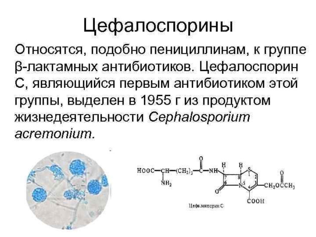 Цефалоспорины в таблетках. Препараты пенициллина и цефалоспорина. Цефалоспорины группа антибиотиков. Цефалоспорины относятся. К группе цефалоспорины относится антибиотики:.