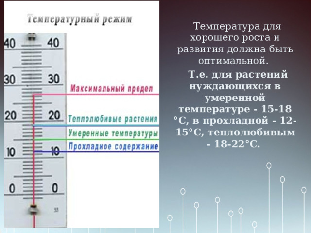  Температура для хорошего роста и развития должна быть оптимальной.   Т.е. для растений нуждающихся в умеренной температуре - 15-18 °С, в прохладной - 12-15°С, теплолюбивым - 18-22°С.  