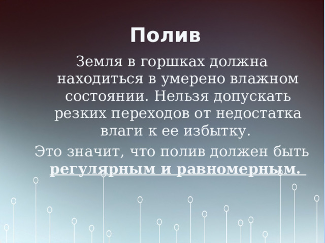 Полив Земля в горшках должна находиться в умерено влажном состоянии. Нельзя допускать резких переходов от недостатка влаги к ее избытку. Это значит, что полив должен быть регулярным и равномерным. 