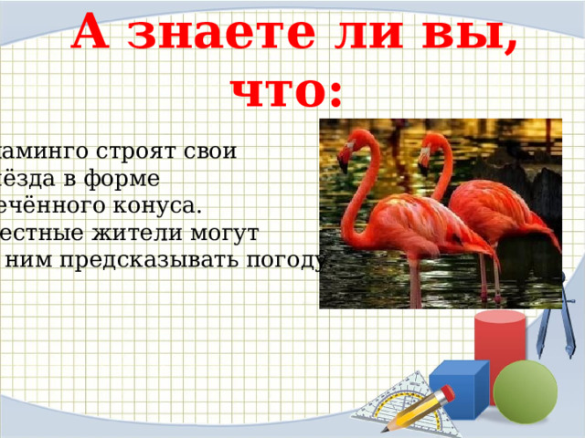 А знаете ли вы, что:   Фламинго строят свои  гнёзда в форме усечённого конуса.  Местные жители могут по ним предсказывать погоду.   