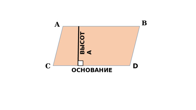 В А ВЫСОТА С D ОСНОВАНИЕ 