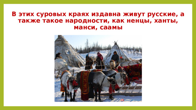 В этих суровых краях издавна живут русские, а также такое народности, как ненцы, ханты, манси, саамы 