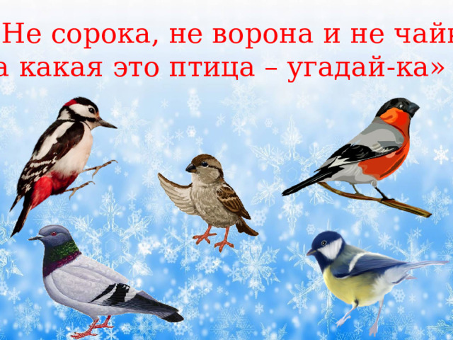 «Не сорока, не ворона и не чайка,  а какая это птица – угадай-ка» 