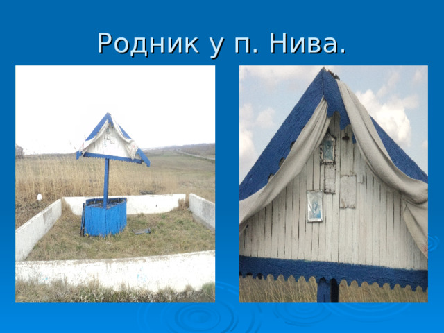 Родник у п. Нива. 