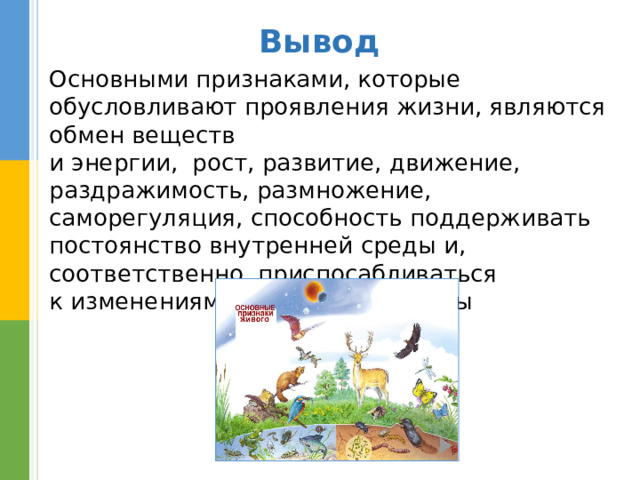 Вывод Основными признаками, которые обусл о вливают проявления жизни, являются обмен веществ  и энергии, рост, развитие, движение, раздражимость, размножение, саморегуляция, способность поддерживать постоянство внутренней среды и, соответственно, приспосабливаться  к изменениям окружающей среды 