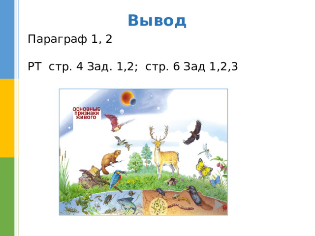 Вывод  Параграф 1, 2  РТ стр. 4 Зад. 1,2; стр. 6 Зад 1,2,3 