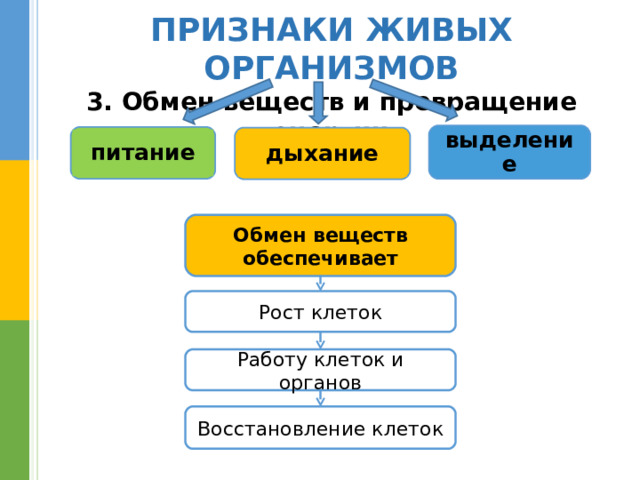    ПРИЗНАКИ ЖИВЫХ ОРГАНИЗМОВ  3. Обмен веществ и превращение энергии выделение питание дыхание Обмен веществ обеспечивает Рост клеток Работу клеток и органов Восстановление клеток 