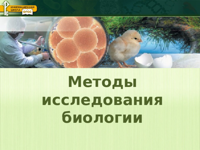 Методы исследования в биологии