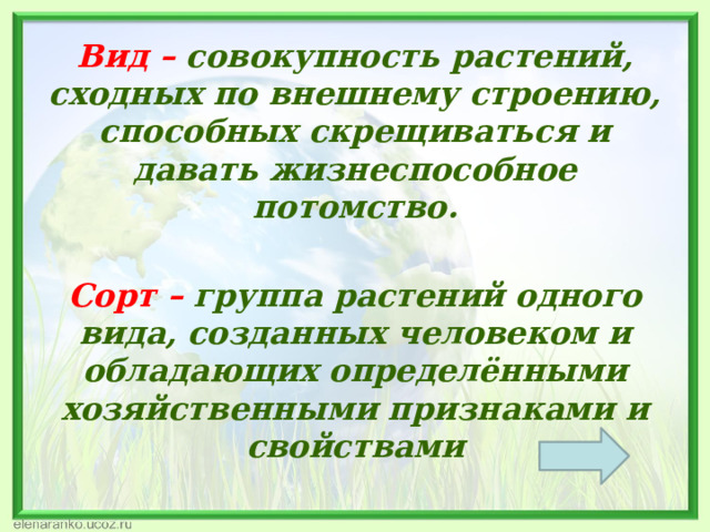 Совокупность растений на одной территории. История развития систематики растений. Таксономическое описание растения. 5 Буквы растения совокупность.