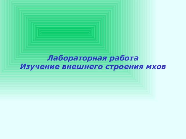  Лабораторная работа Изучение внешнего строения мхов 