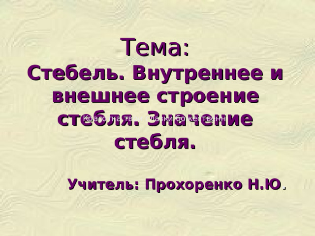 Тема:  Стебель. Внутреннее и внешнее строение стебля. Значение стебля.         Учитель: Прохоренко Н.Ю . Красотка твои глазки божественн 
