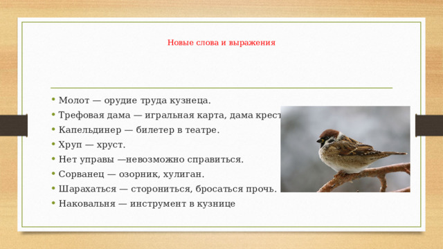 План по рассказу растрепанный воробей константин паустовский