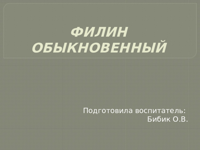 ФИЛИН ОБЫКНОВЕННЫЙ Подготовила воспитатель: Бибик О.В. 