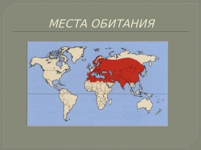 МЕСТА ОБИТАНИЯ 