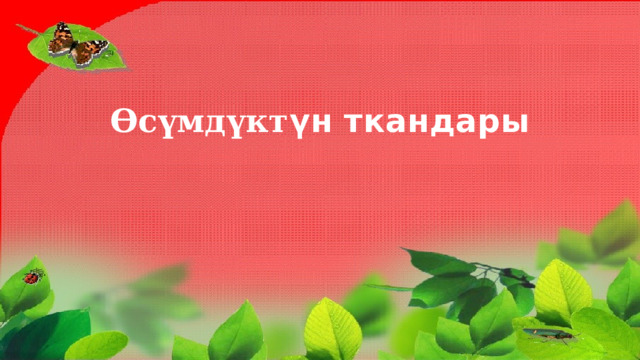 Өсүмдүкт үн ткандары 