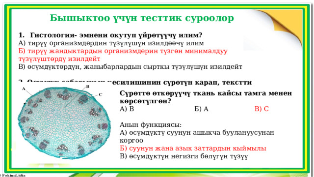 Бышыктоо үчүн тесттик суроолор Гистология- эмнени окутуп үйрөтүүчү илим? А) тирүү организмдердин түзүлүшүн изилдөөчү илим Б) тирүү жандыктардын организмдерин түзгөн минималдуу түзүлүштөрдү изилдейт В) өсүмдүктөрдүн, жаныбарлардын сырткы түзүлүшүн изилдейт 2. Өсүмдүк сабагынын кесилишинин сүрөтүн карап, текстти толуктаңыз  Сүрөттө өткөрүүчү ткань кайсы тамга менен көрсөтүлгөн? А) B Б) A В) C Анын функциясы: А) өсүмдүктү суунун ашыкча буулануусунан коргоо Б) суунун жана азык заттардын кыймылы В) өсүмдүктүн негизги бөлүгүн түзүү 