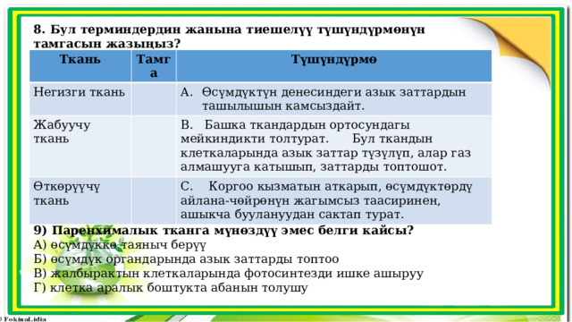 8. Бул терминдердин жанына тиешелүү түшүндүрмөнүн тамгасын жазыңыз? Ткань Тамга Негизги ткань Түшүндүрмө Жабуучу ткань Өткөрүүчү ткань Өсүмдүктүн денесиндеги азык заттардын ташылышын камсыздайт. В. Башка ткандардын ортосундагы мейкиндикти толтурат. Бул ткандын клеткаларында азык заттар түзүлүп, алар газ алмашууга катышып, заттарды топтошот. С. Коргоо кызматын аткарып, өсүмдүктөрдү айлана-чөйрөнүн жагымсыз таасиринен, ашыкча буулануудан сактап турат. 9) Паренхималык тканга мүнөздүү эмес белги кайсы? А) өсүмдүккө таяныч берүү Б) өсүмдүк органдарында азык заттарды топтоо В) жалбырактын клеткаларында фотосинтезди ишке ашыруу Г) клетка аралык боштукта абанын толушу  