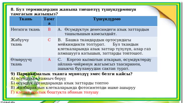 8. Бул терминдердин жанына тиешелүү түшүндүрмөнүн тамгасын жазыңыз? Ткань Тамга Негизги ткань Түшүндүрмө В Жабуучу ткань Өткөрүүчү ткань С Өсүмдүктүн денесиндеги азык заттардын ташылышын камсыздайт. В. Башка ткандардын ортосундагы мейкиндикти толтурат. Бул ткандын клеткаларында азык заттар түзүлүп, алар газ алмашууга катышып, заттарды топтошот. А С. Коргоо кызматын аткарып, өсүмдүктөрдү айлана-чөйрөнүн жагымсыз таасиринен, ашыкча буулануудан сактап турат. 9) Паренхималык тканга мүнөздүү эмес белги кайсы? А) өсүмдүккө таяныч берүү Б) өсүмдүк органдарында азык заттарды топтоо В) жалбырактын клеткаларында фотосинтезди ишке ашыруу Г) клетка аралык боштукта абанын толушу 