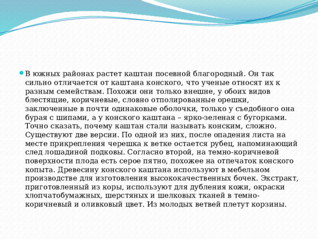 В южных районах растет каштан посевной благородный. Он так сильно отличается от каштана конского, что ученые относят их к разным семействам. Похожи они только внешне, у обоих видов блестящие, коричневые, словно отполированные орешки, заключенные в почти одинаковые оболочки, только у съедобного она бурая с шипами, а у конского каштана – ярко-зеленая с бугорками. Точно сказать, почему каштан стали называть конским, сложно. Существуют две версии. По одной из них, после опадения листа на месте прикрепления черешка к ветке остается рубец, напоминающий след лошадиной подковы. Согласно второй, на темно-коричневой поверхности плода есть серое пятно, похожее на отпечаток конского копыта. Древесину конского каштана используют в мебельном производстве для изготовления высококачественных бочек. Экстракт, приготовленный из коры, используют для дубления кожи, окраски хлопчатобумажных, шерстяных и шелковых тканей в темно-коричневый и оливковый цвет. Из молодых ветвей плетут корзины. 