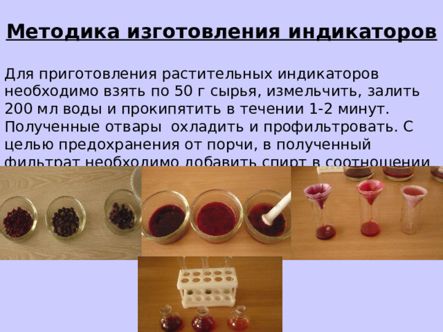 Методика изготовления индикаторов Для приготовления растительных индикаторов необходимо взять по 50 г сырья, измельчить, залить 200 мл воды и прокипятить в течении 1-2 минут. Полученные отвары охладить и профильтровать. С целью предохранения от порчи, в полученный фильтрат необходимо добавить спирт в соотношении 2:1. 