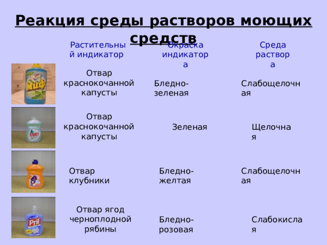 Реакция среды растворов моющих средств Растительный индикатор Окраска индикатора Среда раствора Отвар краснокочанной капусты Слабощелочная Бледно-зеленая Отвар краснокочанной капусты Щелочная Зеленая Слабощелочная Отвар клубники Бледно-желтая Отвар ягод черноплодной рябины Бледно-розовая Слабокислая 