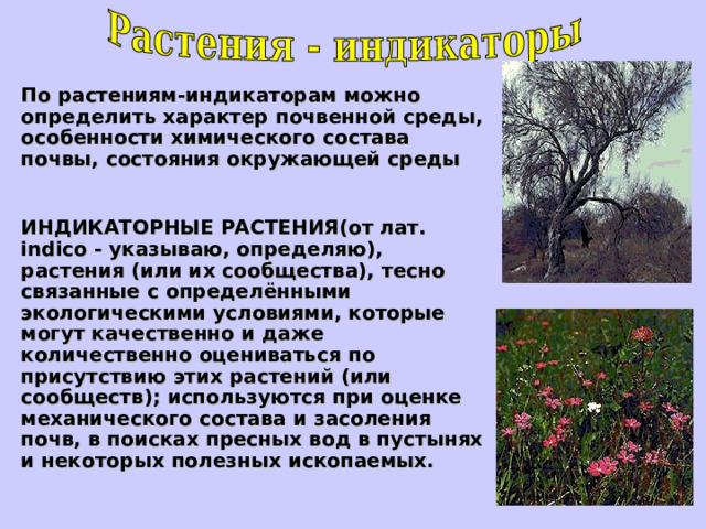 По растениям-индикаторам можно определить характер почвенной среды, особенности химического состава почвы, состояния окружающей среды ИНДИКАТОРНЫЕ РАСТЕНИЯ(от лат. indico - указываю, определяю), растения (или их сообщества), тесно связанные с определёнными экологическими условиями, которые могут качественно и даже количественно оцениваться по присутствию этих растений (или сообществ); используются при оценке механического состава и засоления почв, в поисках пресных вод в пустынях и некоторых полезных ископаемых.   