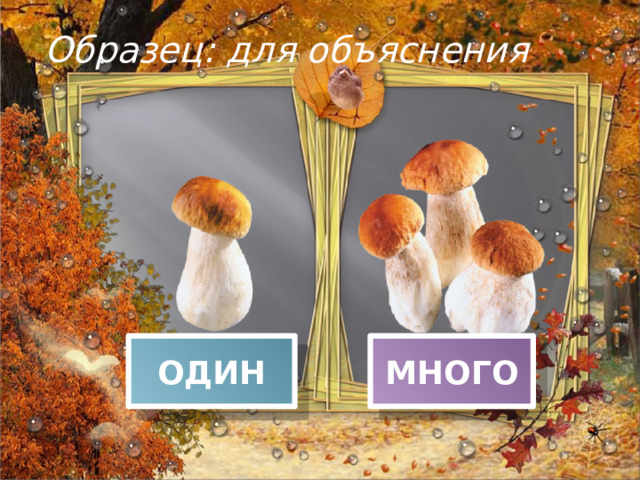 Образец: для объяснения ОДИН МНОГО 
