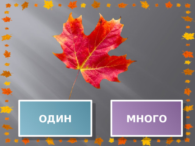 ОДИН МНОГО 