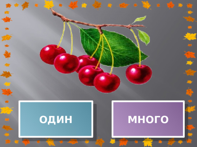 ОДИН МНОГО 