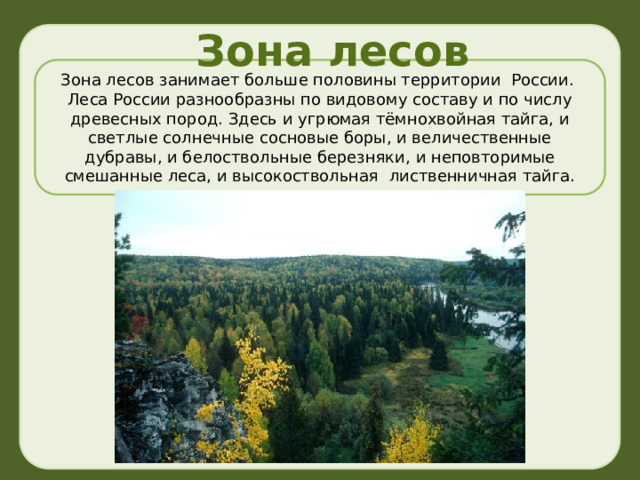 Зона лесов Зона лесов занимает больше половины территории России. Леса России разнообразны по видовому составу и по числу древесных пород. Здесь и угрюмая тёмнохвойная тайга, и светлые солнечные сосновые боры, и величественные дубравы, и белоствольные березняки, и неповторимые смешанные леса, и высокоствольная  лиственничная тайга. 