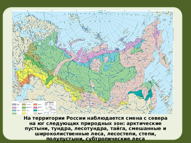 На территории России наблюдается смена с севера на юг следующих природных зон: арктические пустыни, тундра, лесотундра, тайга, смешанные и широколиственные леса, лесостепи, степи, полупустыни, субтропические леса 