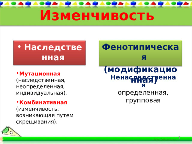 Изменчивость Фенотипическая (модификационная) Наследственная (генотипическая)  Мутационная (наследственная, неопределенная, индивидуальная). Комбинативная (изменчивость, возникающая путем скрещивания). Мутационная (наследственная, неопределенная, индивидуальная). Комбинативная (изменчивость, возникающая путем скрещивания). Ненаследственная определенная, групповая 3 