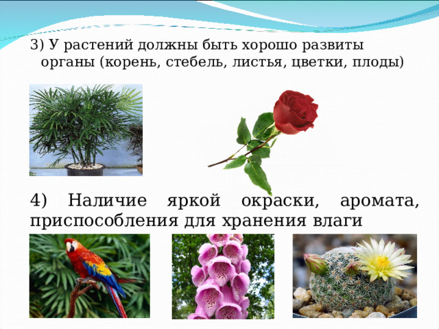 3) У растений должны быть хорошо развиты органы (корень, стебель, листья, цветки, плоды) 4) Наличие яркой окраски, аромата, приспособления для хранения влаги 