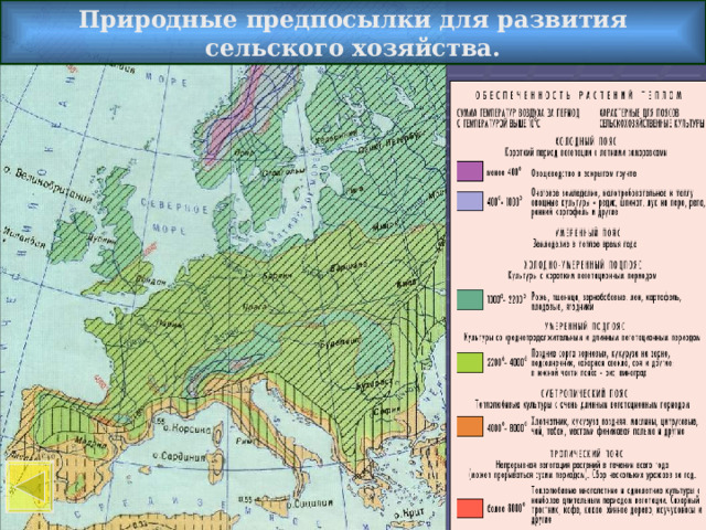 Обеспеченность растений теплом Природные предпосылки для развития сельского хозяйства.  