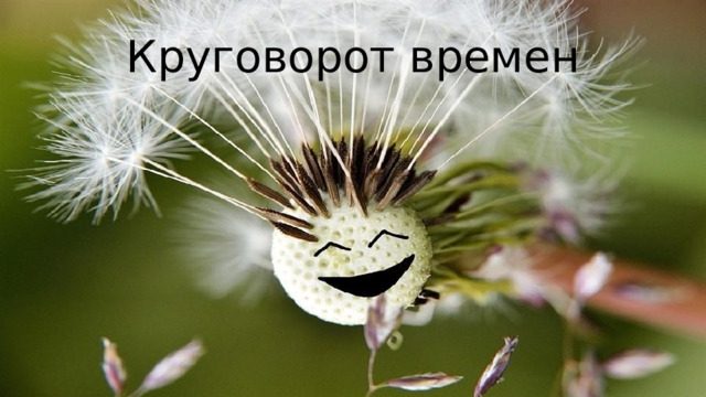 Круговорот времен 