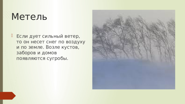 Метель Если дует сильный ветер, то он несет снег по воздуху и по земле. Возле кустов, заборов и домов появляются сугробы. 