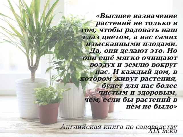 «Высшее назначение растений не только в том, чтобы радовать наш глаз цветом, а нас самих изысканными плодами. Да, они делают это. Но они ещё мягко очищают воздух и землю вокруг нас. И каждый дом, в котором живут растения, будет для нас более чистым и здоровым, чем, если бы растений в нём не было»   Английская книга по садоводству XIX века 