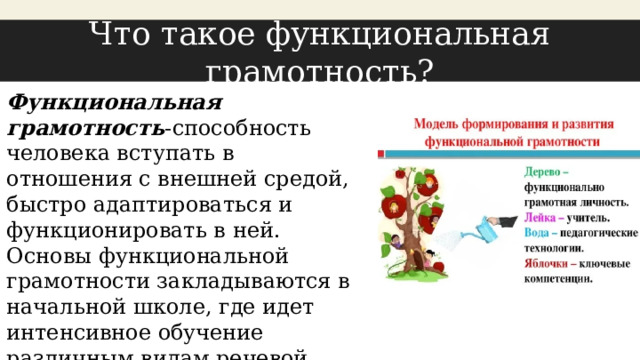 Что такое функциональная грамотность? Функциональная грамотность -способность человека вступать в отношения с внешней средой, быстро адаптироваться и функционировать в ней. Основы функциональной грамотности закладываются в начальной школе, где идет интенсивное обучение различным видам речевой деятельности –письму и чтению, говорению и слушанию. 