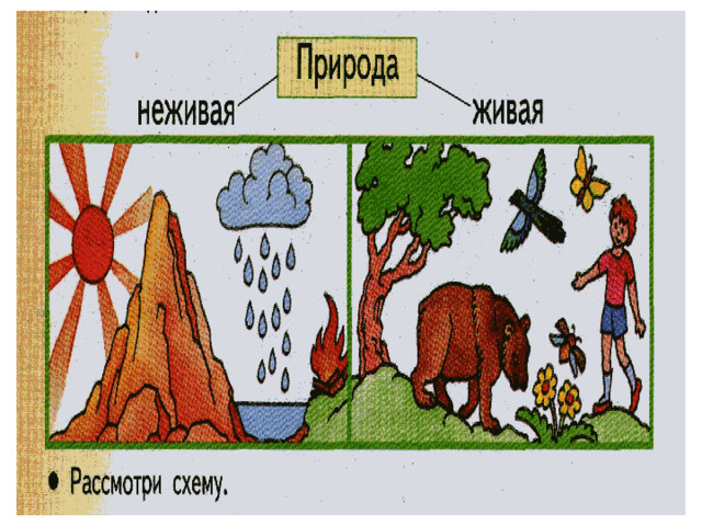 Презентация "Живая и неживая природа" к уроку окружающего мира, 2 класс