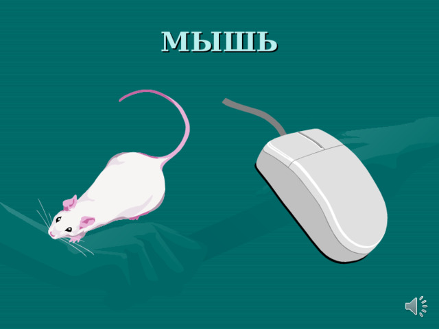 МЫШЬ 
