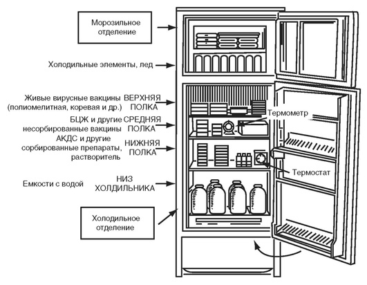 Расположение вакцин в холодильнике по полкам схема по санпину