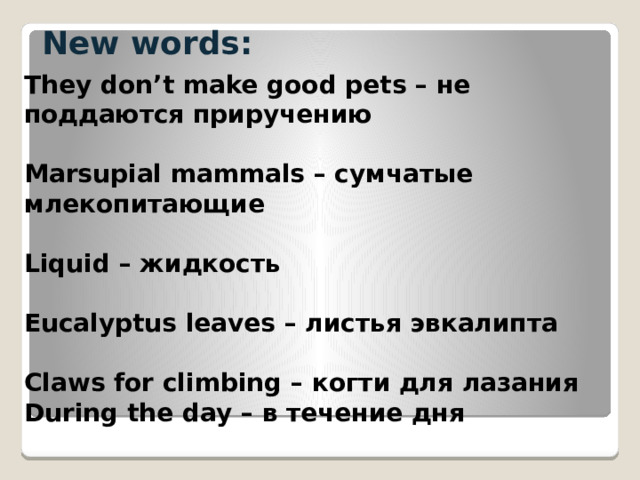 New words:  They don’t make good pets – не поддаются приручению  Marsupial mammals – сумчатые млекопитающие  Liquid – жидкость  Eucalyptus leaves – листья эвкалипта  Claws for climbing – когти для лазания During the day – в течение дня 